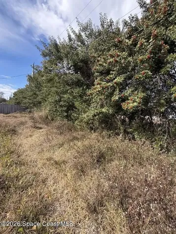 2829 Matthew Drive Rockledge FL 32955