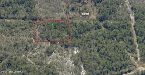 0000 Unknown Road Oak Hill FL 32759