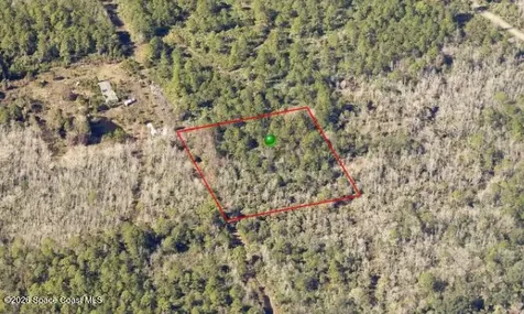 0000 Unknown Road Oak Hill FL 32759