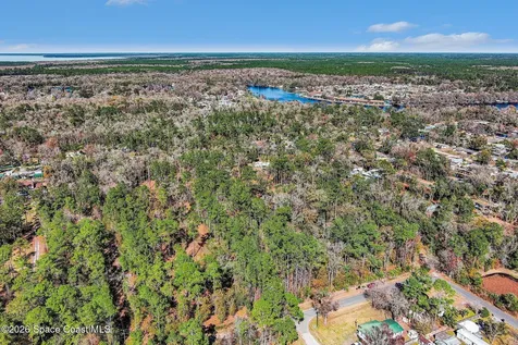 24421 Trespass Trail Astor FL 32102
