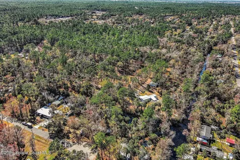 24421 Trespass Trail Astor FL 32102