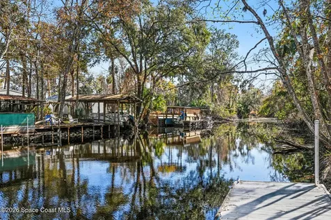 24421 Trespass Trail Astor FL 32102