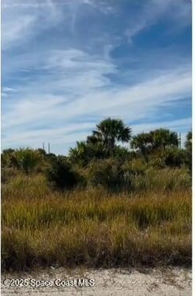 1225 Ludwig Street SW Palm Bay FL 32908