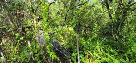 Unknown Woodland Hills Drive Titusville FL 32780