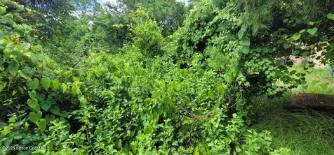Unknown Woodland Hills Drive Titusville FL 32780
