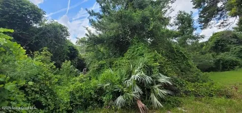 Unknown Woodland Hills Drive Titusville FL 32780