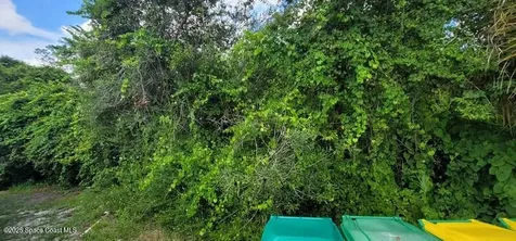 Unknown Woodland Hills Drive Titusville FL 32780