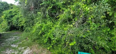 Unknown Woodland Hills Drive Titusville FL 32780
