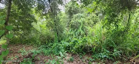 Unknown Woodland Hills Drive Titusville FL 32780