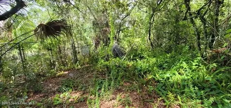 Unknown Woodland Hills Drive Titusville FL 32780