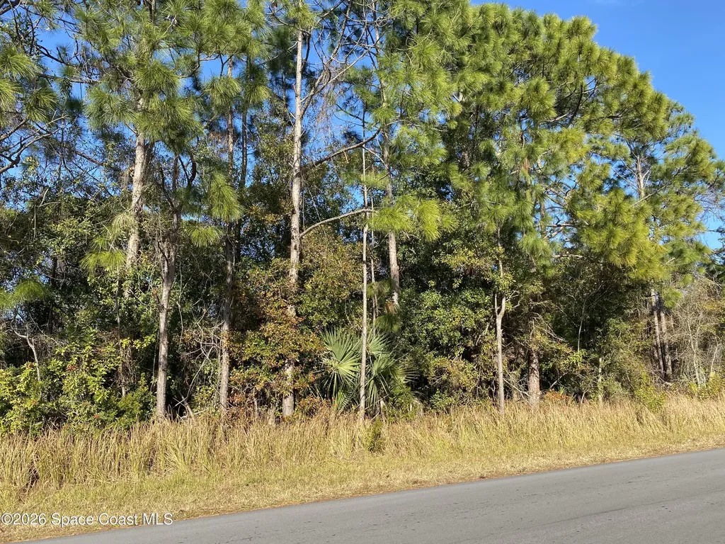 2195 Ramsdale Drive SE Palm Bay FL 32909