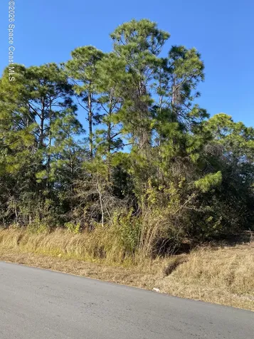 2195 Ramsdale Drive SE Palm Bay FL 32909