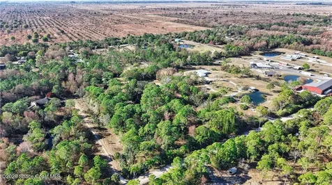 12385 79th Street Fellsmere FL 32948