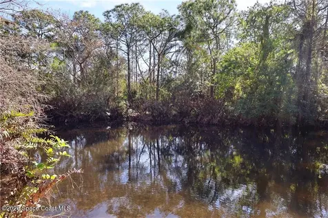 12385 79th Street Fellsmere FL 32948