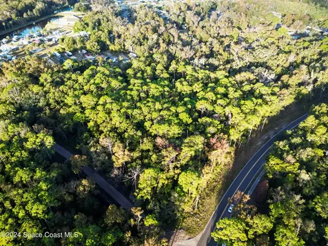 0000 Hammock Trail Mims FL 32754