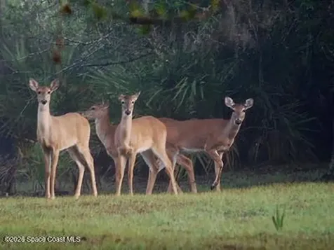 32801 Us Highway 441 Highway N Okeechobee FL 34972