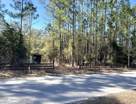181 Lakeway Drive Georgetown FL 32139