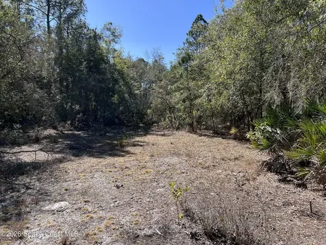 181 Lakeway Drive Georgetown FL 32139