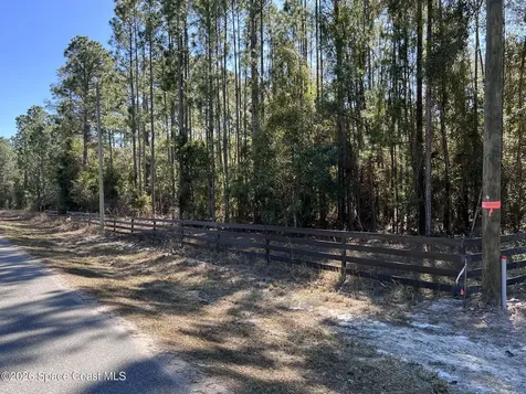 181 Lakeway Drive Georgetown FL 32139