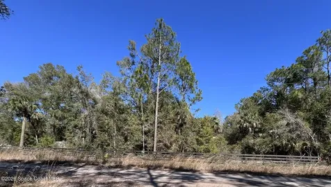 181 Lakeway Drive Georgetown FL 32139