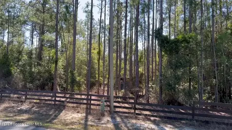 181 Lakeway Drive Georgetown FL 32139