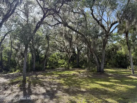 9175 Freedom Road Mims FL 32754