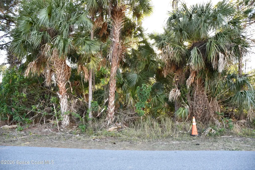 2658 Tepee Avenue SE Palm Bay FL 32909