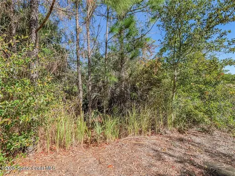 548 Saragassa Avenue SW Palm Bay FL 32908
