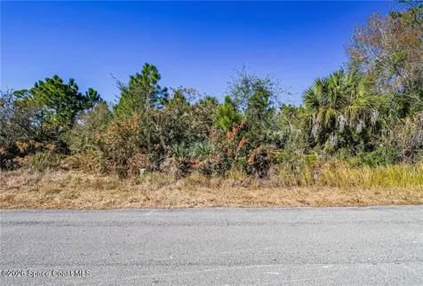 548 Saragassa Avenue SW Palm Bay FL 32908