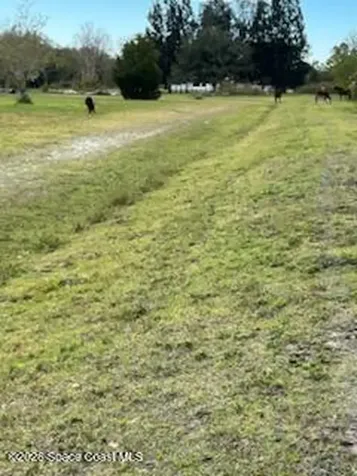 430 S Canoe Creek Road Kenansville FL 34739