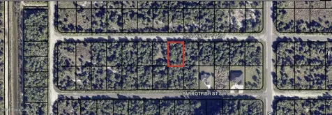 842 Saltwater Street SW Palm Bay FL 32908