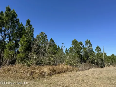 2991 Tinley Road SE Palm Bay FL 32909