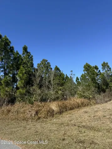 2991 Tinley Road SE Palm Bay FL 32909