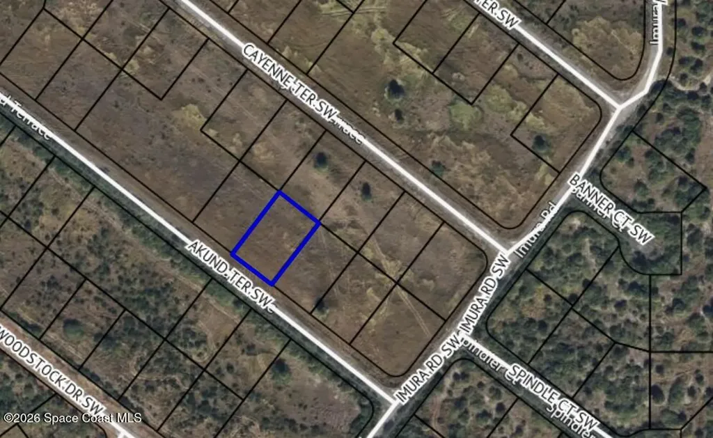 935 Akund Terrace SW Palm Bay FL 32908