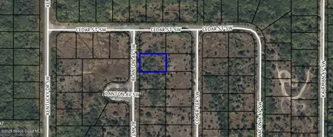 1905 Blanton Avenue SW Palm Bay FL 32908