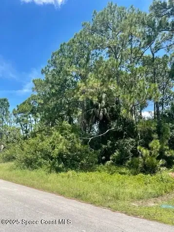 171 & 177 Shalimar Avenue NW Palm Bay FL 32907