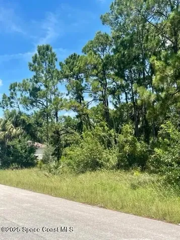 177 Shalimar Avenue NW Palm Bay FL 32907