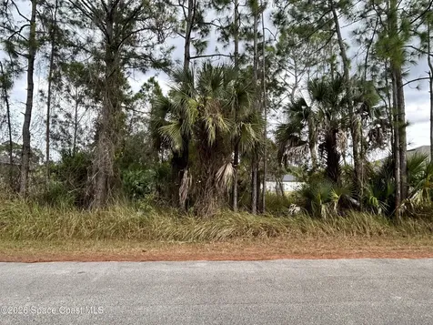 843 Natroma Avenue SW Palm Bay FL 32908