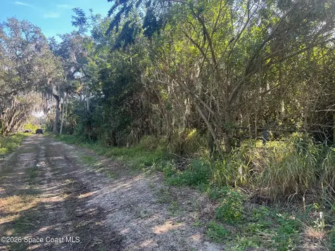0000 Flounder Creek Road Mims FL 32754