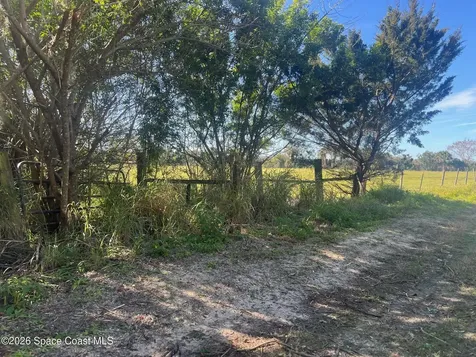 0000 Flounder Creek Road Mims FL 32754