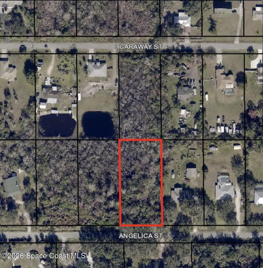 3324 Angelica Street Cocoa FL 32926