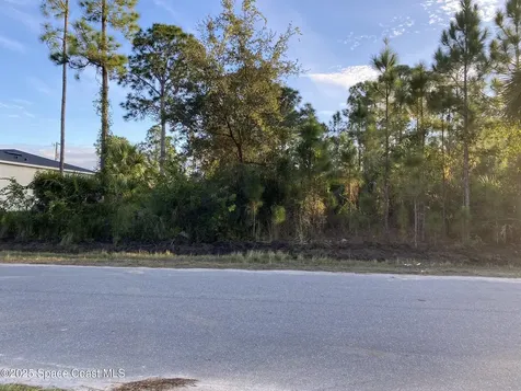 458 Tobias Street Street Palm Bay FL 32909