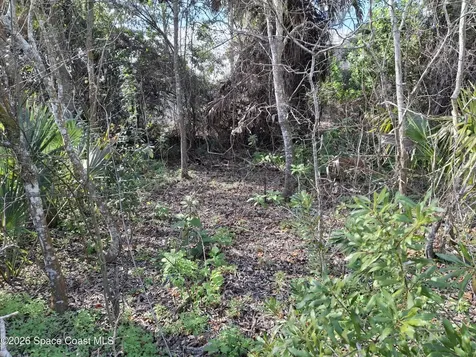 2631 Ivory Way Titusville FL 32780