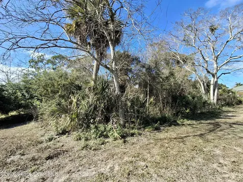 2631 Ivory Way Titusville FL 32780