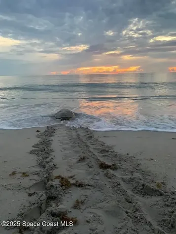 6710 Highway A1a Melbourne Beach FL 32951