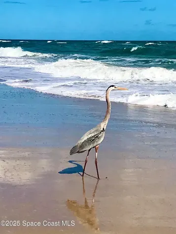 6710 Highway A1a Melbourne Beach FL 32951