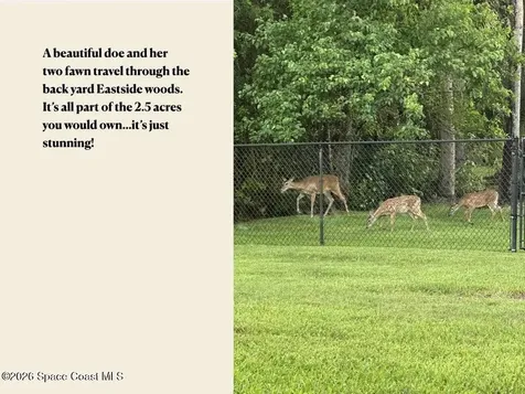 3420 Fox Wood Drive Titusville FL 32780