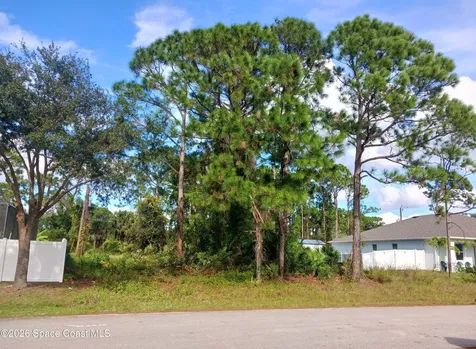 249 San Luis Street SW Palm Bay FL 32908