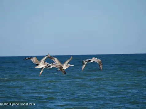2880 S Atlantic Avenue Cocoa Beach FL 32931