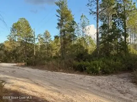880 Still Road Pierson FL 32180